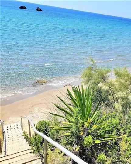 Tetraktys Estate Beachside Υδωρ Ágios Matthaíos Eksteriør bilde